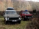 IMG_5165Large.jpg