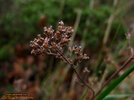 IMG_8185.jpg