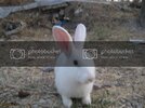 IMG_4012.jpg