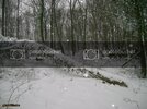 DSC04806.jpg
