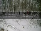 DSC04810.jpg