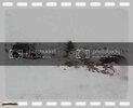th_MVI_2997.jpg