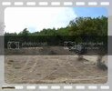 th_MVI_3995.jpg