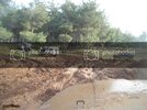 DSC04135.jpg