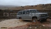 Kark1147.jpg