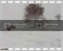 th_MVI_2987_edited_2.jpg