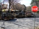 SDC10463-1.jpg