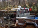 SDC10411.jpg
