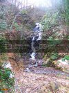 100_3982-L.jpg