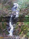 100_3983-L.jpg
