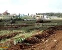 th_MOV00407_clip0.jpg