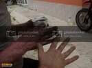 SDC10059800x600.jpg