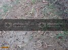 SDC10070800x600.jpg