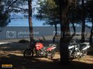 SDC10096800x600.jpg