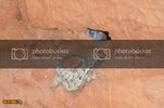 SDC10114800x600.jpg