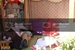 SDC10134800x600.jpg