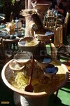 SDC10136800x600.jpg