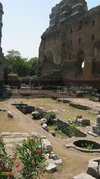 IMG_0131800x600.jpg