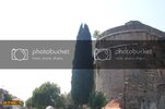 SDC10146800x600.jpg