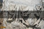 SDC10156800x600.jpg
