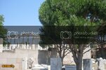 SDC10158800x600.jpg