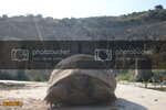 SDC10166800x600.jpg