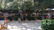IMG_0147800x600.jpg