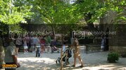 IMG_0145800x600.jpg