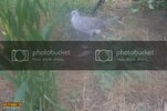 SDC10162800x600.jpg