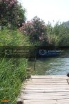 SDC10174800x600.jpg
