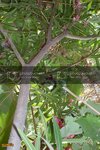 SDC10185800x600.jpg