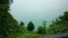 DSC_0219.JPG