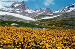 hakkari02.jpg