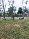 IMG_20250719_075756.jpg