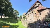 IMG_5007.jpeg