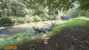 IMG_5072.jpeg