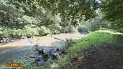 IMG_5068.jpeg