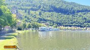 IMG_5238.jpeg