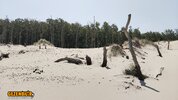 Kumul5.jpg