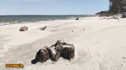 camping4.jpg