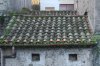 IMG_6146.JPG