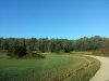 20161229_100010.jpg 20161229_100010.jpg