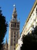 IMG_7725_1.jpg