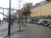 IMG_8203.jpg