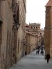 C_IMG_8260.jpg