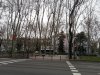 IMG_8350.jpg