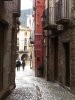 IMG_8556.jpg