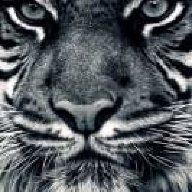 sentor