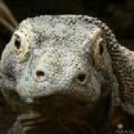 gomodoejderi