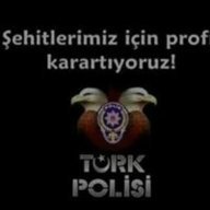 Kafkas kartalı41